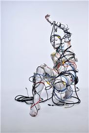 Symbiotic Epidermis: Exploring the Dynamic Interface of Skin