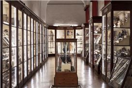 Acacia by Marco Maria Zanin: or the art that talks to spirits