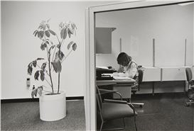 How Have Photographs Shaped Our Idea of Work?