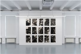 A Conversation with Radu Pandele