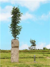 Christian Kosmas Mayer opens exhibition at Skulpturenpark