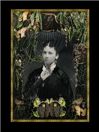 Leslie Sheryll: HERbarium – HER Choice