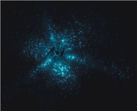 Julian Charrière’s ‘Midnight Zone’ Channels Abyssal Intensity to Inspire Ecological Awareness