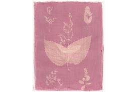 Brandywine Presents "This Earthen Door: Nature as Muse and Material"