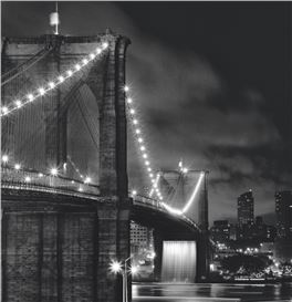 Barbara Mensch Tells the Epic Story of the Brooklyn Bridge