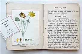 Highlights at Firsts London 2025: Books in Bloom at the Saatchi Gallery in Chelsea, London from 15 to 18 May 2025