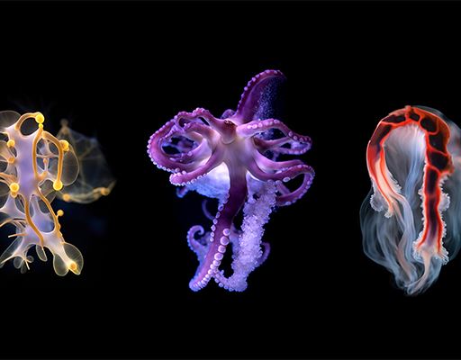 Taikang Art Museum’s Archival of Media and Technology in Arts