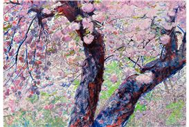 Mizue Sawano's luminous landscapes and figures debut at Sapar Contemporary