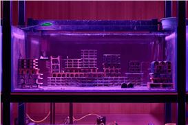 A new configuration of Trevor Yeung's solo exhibition at the 60th Biennale di Venezia opens to public at M+