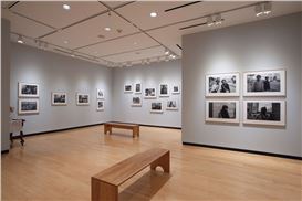 The Halsey Institute of Contemporary Art Exhibits Works by Joshua Parks