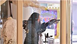 Tullie to unveil new welcome space, shop and gallery