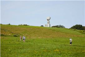 New York’s Best Summer Art Shows Are Upstate