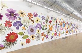 Hundreds of Huge Flowers Spring Forth in Carly Glovinski’s Monumental ‘Almanac’