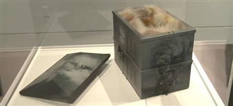 Vija Celmins - Television and Disaster 1964-1966