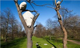 Giuseppe Penone Review – An Ecstatic Realm Where Trees and Humans Merge