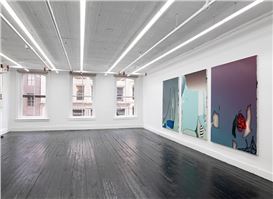 Michele Abramowitz’s Improbable Terrain