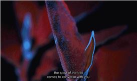 Felipe Castelblanco: Counter-Expeditions