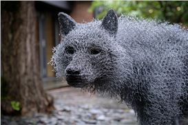 In ‘Big Bad Wolf,’ Sculptor Kendra Haste Contends with Conservation and Rewilding