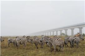 Paradise, Inc. by Guillaume Bonn