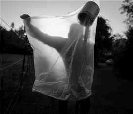 Jared Ragland: Art + History Competition First Place Winner