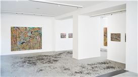 Bojan ŠUmonja: Tulip Hysteria TROTOAR, Zagreb, HR