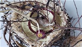 The Transformative Art of Virginia Gail Smith