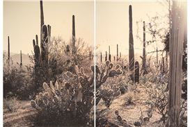 Helsinki School Artists Tackle Climate Change in Persons Projects' "The Art of Renewal"