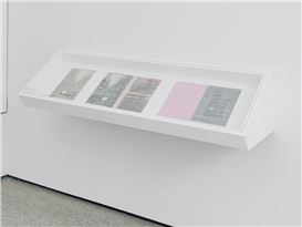 ‘Ferocity at Home’ Magnifies Domestic Friction