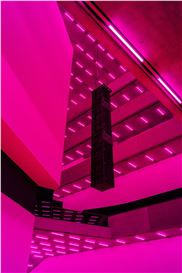 Steve McQueen's 'Bass' Strips Down Cinema and Lays Its Bones Bare