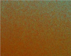 ‘They digest externally’: the artist who creates paintings with live flies