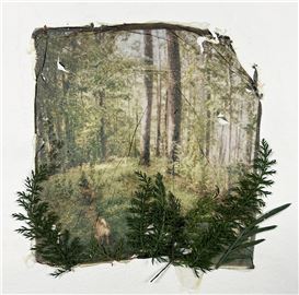 Polaroid Week: Laura Barth