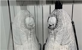 Claudia Six: Portals of Fear, Dreams, and Play