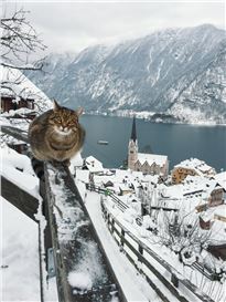 ‘It Really Felt like I Was in a Fairytale’: Mustafa Seven’s Best Phone Picture