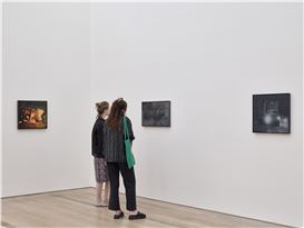 Vija Celmins at Fondation Beyeler, Basel