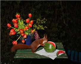 A Photographer’s Scavenged Still Lifes