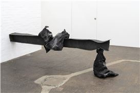 Field of Experimentation: A Conversation with Sofía Salazar Rosales