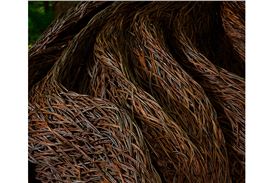 Clark Art Institute opens Ground/work 2025