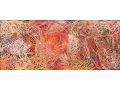 The Vision of Emily Kame Kngwarreye