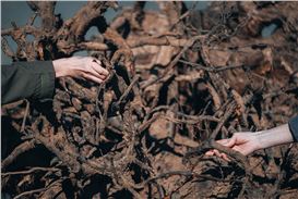 Exhibition Featuring Henna Asikainen and Roua Horanieh Opens at Baltic