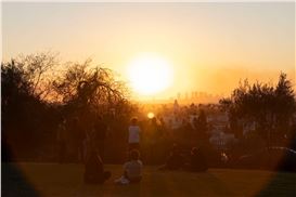 Through the Lens of Loss: Rebuilding Art Practices in the Wake of Wildfires