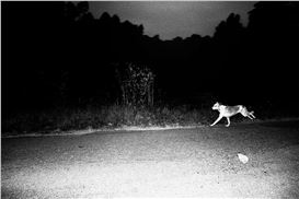 The 2025 Gomma Black & White Awards Winners