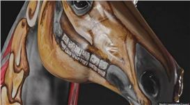 How You Can Own Horse Art from George Stubbs Trail