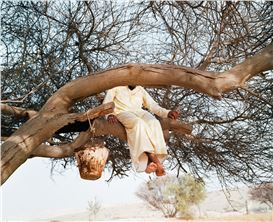 Seeing Beyond the Visible: Hoda Afshar at musée du quai Branly – Jacques Chirac