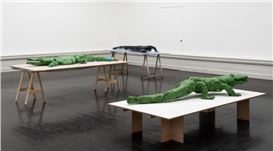 Crocodiles in the City