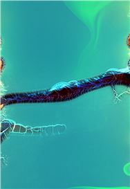 Elizabeth Ransom: Homesick