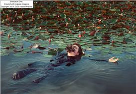 Digital Artist Shares What It’s Like To Have His Work “Ruined by AI” [Interview]