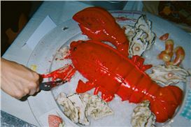 Olympia's 'CAKE' Indulges in the Sweeter Side of Life