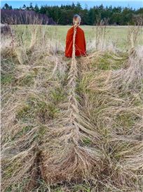 Artist Cleverly Blends Humans and Nature in Commentary About Harmony in the Environment