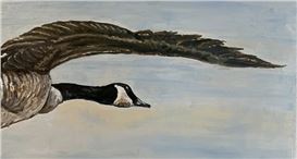 Arts In The Barn/Cushing Historical Society Presents “The Wildlife Show”