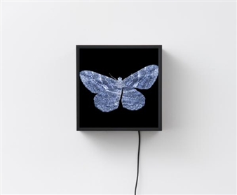 10 Exhibitions Opening This Week